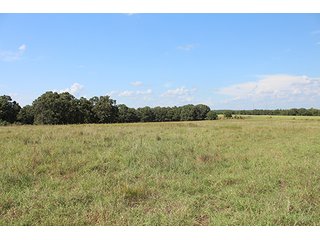Property photo 32 - LAND AUCTION - 440+/- ACRES OFFERED IN 17 TRACTS IN OSAGE CO., OKLAHOMA